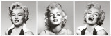 Marilyn Monroe Posters