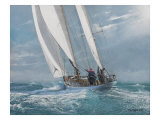Paciencia Lámina giclée por Robert G. Radcliffe Paciencia Lámina giclée por Robert G. Radcliffe