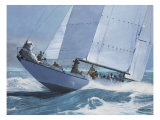 Into the Waves Lámina giclée por Robert G. Radcliffe Into the Waves Lámina giclée por Robert G. Radcliffe