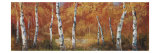 Autumn Birch I Lámina giclée por Art Fronckowiak
