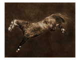 Free Jumper III Giclee Print by Robert Dawson