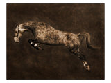 Free Jumper I Giclee Print by Robert Dawson