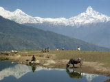 People Beside Lake before Huge Mountain Landscape of Machapuchare, Nepal Photographic Print by Nigel Callow