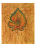 Autumn Leaf II Giclee Print by Marcia Rahmana