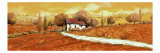 Rosso Papavero Giclee-trykk av Guido Borelli