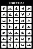 Sexercise Posters