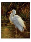 Tropical Egret II Giclee Print by Kilian 