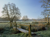 Frost at Thundery Meadows, Elstead, Surrey, England, UK Photographie par Pearl Bucknall