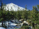 Winter Scene, Mount Teide, Tenerife, Canary Islands, Spain, Europe Fotografisk trykk av Jean Brooks Winter Scene, Mount Teide, Tenerife, Canary Islands, Spain, Europe Fotografisk trykk av Jean Brooks