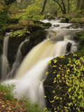 Small Waterfall on Aira River, Ullswater, Cumbria, England, United Kingdom, Europe Fotografisk trykk av Pearl Bucknall