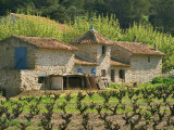 Exterior of a Stone Farmhouse in Vineyard Near Pierrefeu, Var, Provence, France, Europe Photographic Print by Michael Busselle