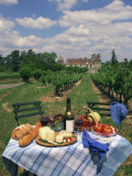 Table Set with a Picnic Lunch in a Vineyard in Aquitaine, France, Europe Fotografisk trykk av Michael Busselle Table Set with a Picnic Lunch in a Vineyard in Aquitaine, France, Europe Fotografisk trykk av Michael Busselle