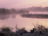Moor Green Lakes Nature Reserve, Finchamstead, Berkshire, England, UK Photographic Print by Pearl Bucknall