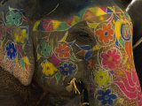 Painted Elephant, Used for Transporting Tourists, Amber Palace, Jaipur, Rajasthan, India Photographic Print by Jeremy Bright Painted Elephant, Used for Transporting Tourists, Amber Palace, Jaipur, Rajasthan, India Photographic Print by Jeremy Bright