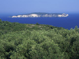 Olive Groves and the Island of Anti-Paxos Seen from Paxos, Greek Islands, Greece, Europe Photographic Print by Julia Bayne