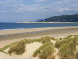 Sand Dunes and Borth Beach, Ynyslas, Borth, Dyfed, Wales, United Kingdom, Europe Fotografisk trykk av Pearl Bucknall