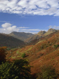 Langdale Valley, Elterwater, Lake District National Park, Cumbria, England, UK Photographie par Pearl Bucknall