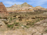 Painted Landscape in the Gurbantinggut Desert in Xinjiang, China Photographic Print by Gina Corrigan