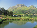 Rural Scenic Near Stellenbosch, Cape Province, South Africa, Africa Photographie par Rob Cousins