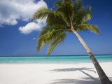 Negril, Jamaica, West Indies, Caribbean, Central America Photographic Print by Angelo Cavalli