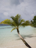Vilamendhoo Island, Ari Atoll, Maldives, Indian Ocean Photographie par Angelo Cavalli