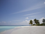 Vilamendhoo Island, Ari Atoll, Maldives, Indian Ocean Photographie par Angelo Cavalli