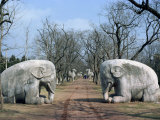 Elephant Statues on Sacred Way, Ming Tombs, Nanking, China Photographic Print by Gina Corrigan