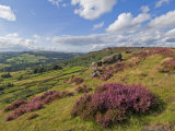 Heather Moorland, Baslow Edge Near Curbar, Peak District National Park, Derbyshire, England, UK Fotografiskt tryck av Neale Clarke Heather Moorland, Baslow Edge Near Curbar, Peak District National Park, Derbyshire, England, UK Fotografiskt tryck av Neale Clarke