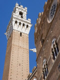 Palazzo Pubblico, Piazza Del Campo, UNESCO World Heritage Site, Siena, Tuscany, Italy Photographic Print by Martin Child