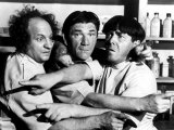 The Three Stooges, All Gummed Up, Larry Fine, Shemp Howard, Moe Howard, 1947 Print