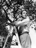 Basil Rathbone, c.1944 Prints