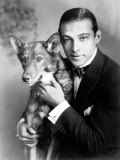 Rudolph Valentino, c.1920s Prints