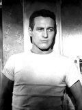 The Hustler, Paul Newman, 1961 Poster