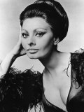 Sophia Loren, c.1960s Plakater Sophia Loren, c.1960s Plakater