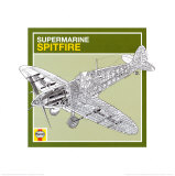 Haynes: Supermarine Spitfire Prints