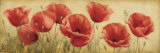 Poppies Grace I Poster von Igor Levashov
