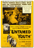 Untamed Youth Blechschild