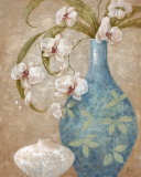 Orchid Grace II Posters par Nan 