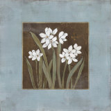 Spring Awakening I Posters by Carol Robinson