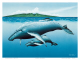 New Birth Póster por Mark Mackay New Birth Póster por Mark Mackay