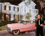 Elvis Pink Caddy Blikskilt