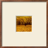 Prunus Posters by Bent Rej