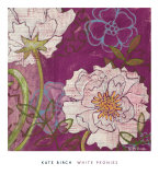 White Peonies Plakater af Kate Birch White Peonies Plakater af Kate Birch