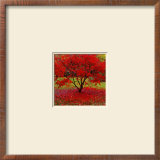 Acer Prints by Bent Rej