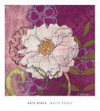 White Peony Posters by Kate Birch