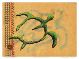 Hilihili Honu, Green Sea Turtle, Hawaiian Petroglyph Prints by Lynn Cook