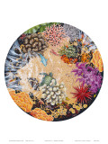 Tidepool II, Hawaiian Turtle and Coral Prints by Mark Mackay