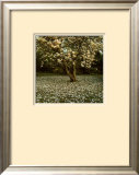Magnolia Prints by Bent Rej