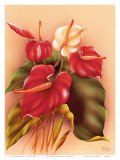 Hawaiian Red and White Anthuriums c.1940s Poster par Frank Oda