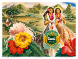 Hawaii USA, 1942 Hawaii Tourist Bureau booklet Prints by Andre 